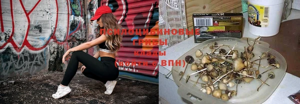 ешки Дмитровск