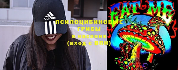 прущий лед Дмитров