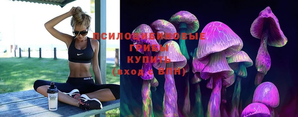 прущий лед Дмитров